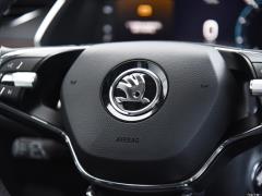 2021 PRO TSI280 DSG Максимальное издание 2021 PRO TSI280 DSG Ultimate Edition Фото 65 из 1247