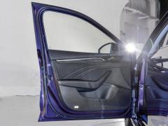 2021 PRO TSI280 DSG Максимальное издание 2021 PRO TSI280 DSG Ultimate Edition Фото 691 из 1247