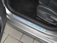 2021 PRO TSI280 DSG Deluxe Edition 2021 PRO TSI280 DSG Deluxe Edition Фото 731 из 1247