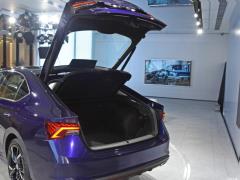 2021 PRO TSI280 DSG Максимальное издание 2021 PRO TSI280 DSG Ultimate Edition Фото 718 из 1247