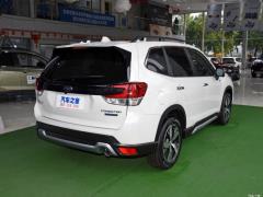 Флагманский прицел Zhiqing 2021 2.0i 2021 2.0i Zhiqing Flagship EyeSight Фото 7 из 211
