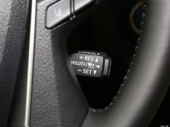 Двухдвигательный двигатель 2,5 л Deluxe Edition 2020 г. 2020 Dual Engine 2.5L Deluxe Edition Фото 16 из 135