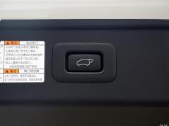 Двухдвигательный двигатель 2,5 л Deluxe Edition 2020 г. 2020 Dual Engine 2.5L Deluxe Edition Фото 135 из 135