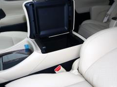 Двухдвигательный двигатель 2,5 л Deluxe Edition 2020 г. 2020 Dual Engine 2.5L Deluxe Edition Фото 76 из 135