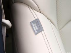 Двухдвигательный двигатель 2,5 л Deluxe Edition 2020 г. 2020 Dual Engine 2.5L Deluxe Edition Фото 101 из 135