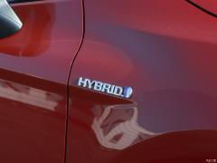 Фейслифтинг 2019 года с двумя двигателями 2.5HS Fengshang версия 2019 facelift dual engine 2.5HS Fengshang version Фото 27 из 139