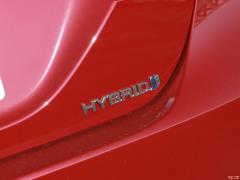Фейслифтинг 2019 года с двумя двигателями 2.5HS Fengshang версия 2019 facelift dual engine 2.5HS Fengshang version Фото 70 из 139