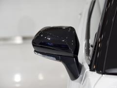 Фейслифтинг 2019 года с двумя двигателями 2.5HS Fengshang версия 2019 facelift dual engine 2.5HS Fengshang version Фото 52 из 90