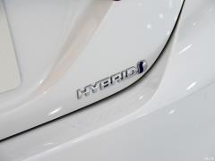 Фейслифтинг 2019 года с двумя двигателями 2.5HS Fengshang версия 2019 facelift dual engine 2.5HS Fengshang version Фото 84 из 90