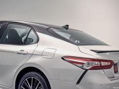 2021 год, двухдвигательный двигатель 2.5HS Fengshang Edition 2021 Dual Engine 2.5HS Fengshang Edition Фото 30 из 90