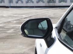 Флагманская версия 2.5HQ с двумя двигателями 2019 года 2019 facelift dual engine 2.5HQ flagship version Фото 46 из 142