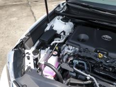 Флагманская версия 2.5HQ с двумя двигателями 2019 года 2019 facelift dual engine 2.5HQ flagship version Фото 16 из 142