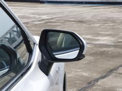 Флагманская версия 2.5HQ с двумя двигателями 2019 года 2019 facelift dual engine 2.5HQ flagship version Фото 25 из 142