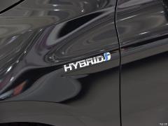 2019 фейслифтинг с двумя двигателями 2.5HG deluxe version 2019 facelift dual engine 2.5HG deluxe version Фото 231 из 311
