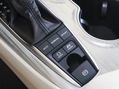 Флагманская версия 2.5HQ с двумя двигателями 2019 года 2019 facelift dual engine 2.5HQ flagship version Фото 72 из 168