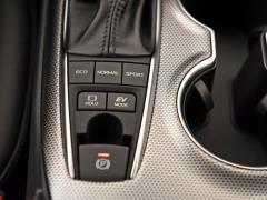 2021 год, двухдвигательный двигатель 2.5HS Fengshang Edition 2021 Dual Engine 2.5HS Fengshang Edition Фото 220 из 808