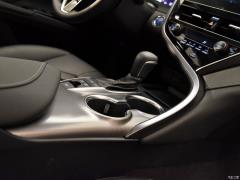 2021 год, двухдвигательный двигатель 2.5HS Fengshang Edition 2021 Dual Engine 2.5HS Fengshang Edition Фото 230 из 808