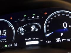 2021 год, двухдвигательный двигатель 2.5HS Fengshang Edition 2021 Dual Engine 2.5HS Fengshang Edition Фото 235 из 808
