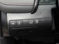 2021 Double Engine 2.5HGVP Ведущее издание 2021 Double Engine 2.5HGVP Leading Edition Фото 125 из 808