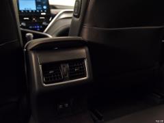 2021 год, двухдвигательный двигатель 2.5HS Fengshang Edition 2021 Dual Engine 2.5HS Fengshang Edition Фото 627 из 808