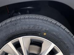 2021 2.0T 4WD Elite Edition 7-местный 2021 2.0T 4WD Elite Edition 7-seater Фото 129 из 379